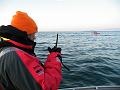 Bering Strait Crossing 249